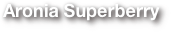 Aronia Superberry